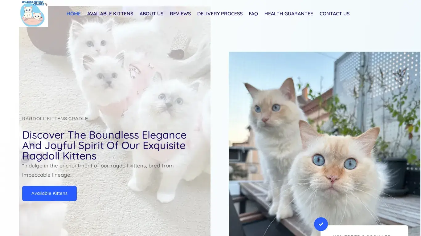 is Ragdoll Kittens Cradle – Ragdoll Kittens For Sale legit? screenshot