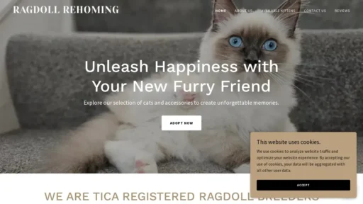 Scam Website Screenshot Ragdollrehoming.com