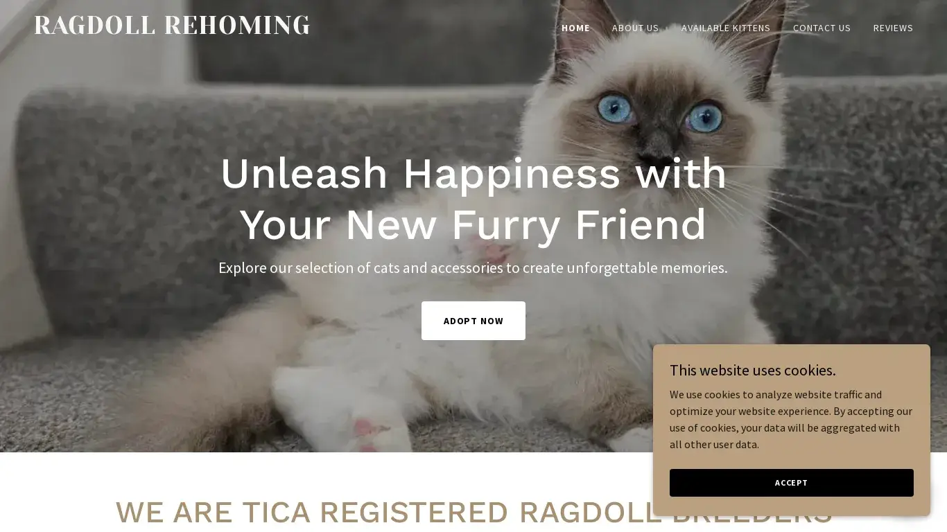 is Ragdoll Rehoming legit? screenshot