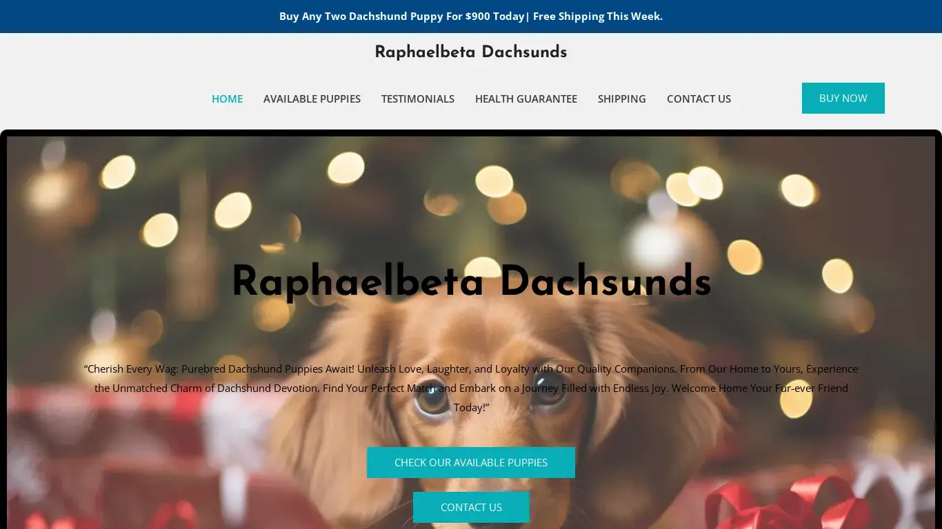 is Raphaelbeta Dachsunds – Purebred Dachshund Puppies For Sale legit? screenshot