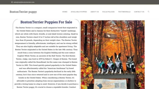 Scam Website Screenshot Readybostonterriers.com