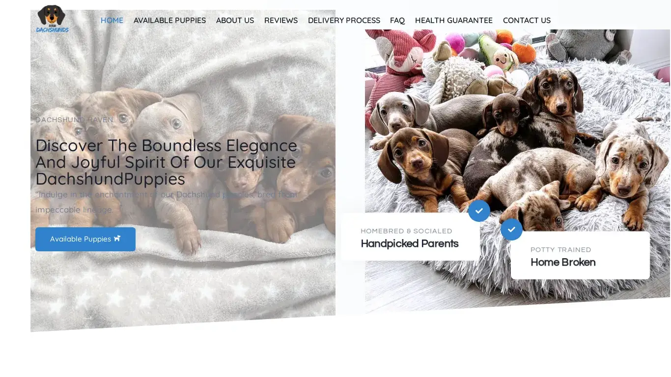 is Regal Dachshunds – Regal Dachshunds legit? screenshot