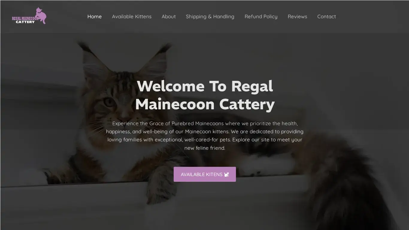 is Regal Mainecoon Cattery – Pretty cats for homes legit? screenshot