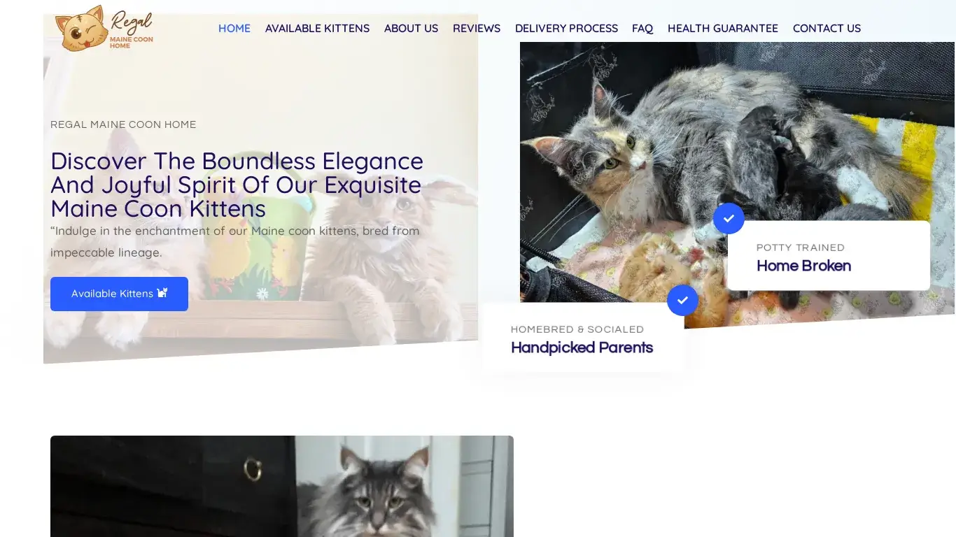 is Regal Maine Coon Kittens – Regal Maine Coon Kittens legit? screenshot