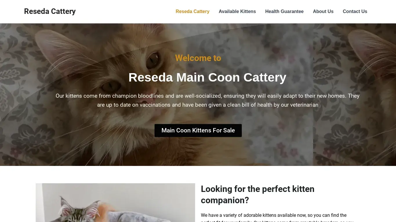 is Reseda Cattery – Maine Coon Kittens For Sale legit? screenshot
