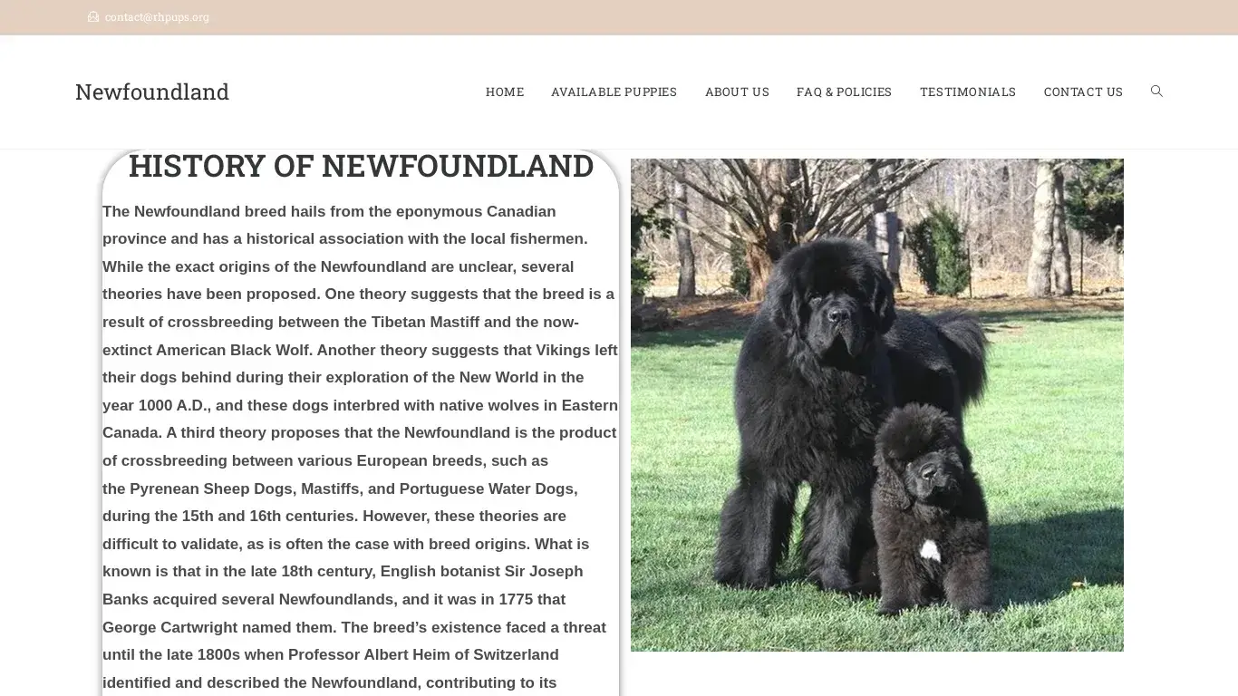 is Newfoundland – Licensed Newfoundland Breeders legit? screenshot