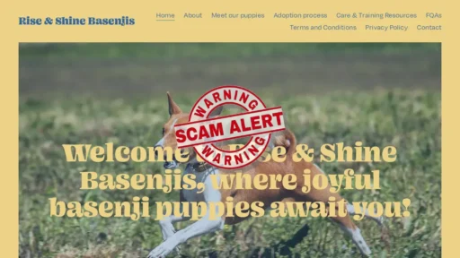 Scam Website Screenshot Riseshinebasenjis.com