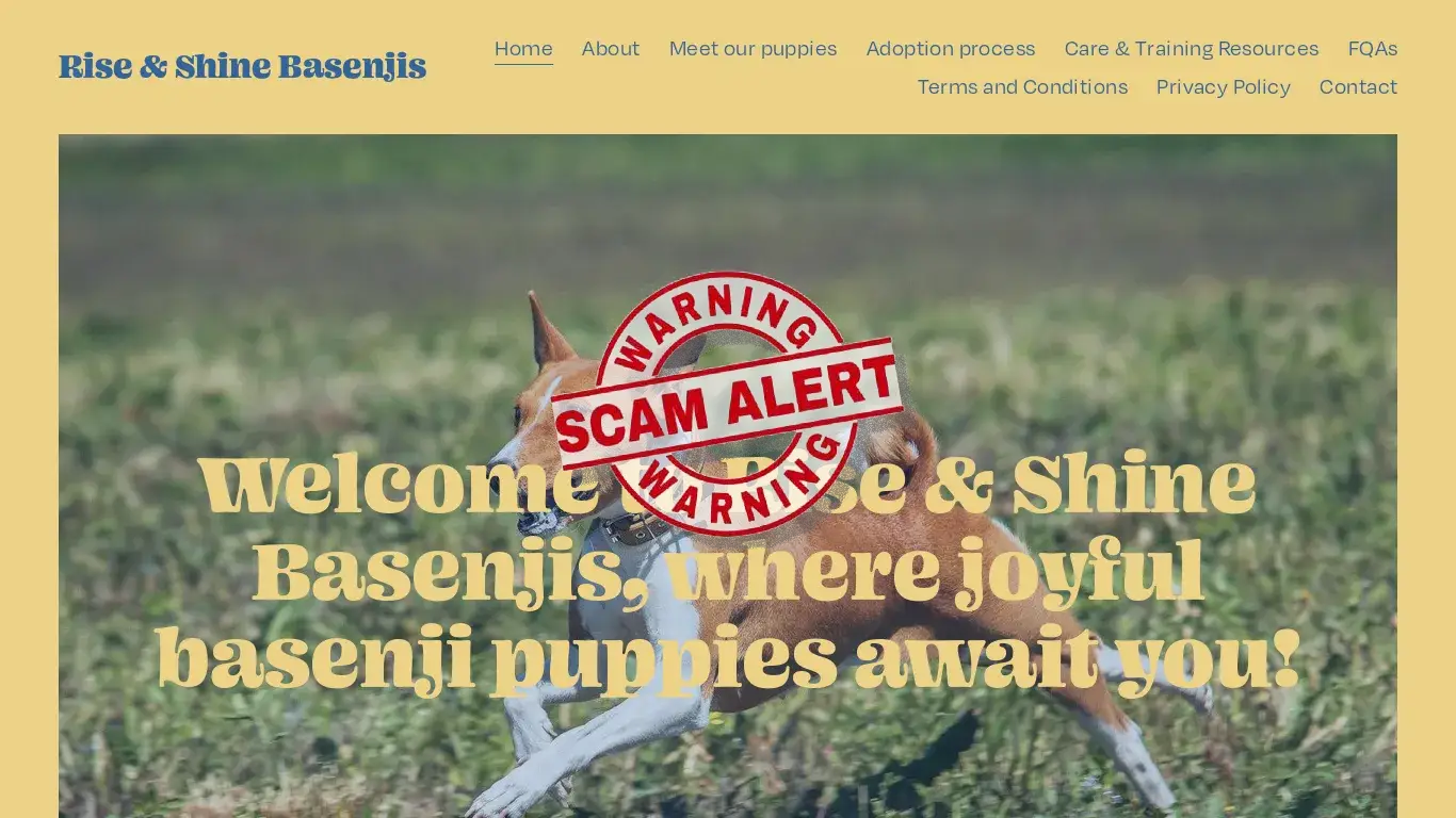 is Rise & Shine Basenjis legit? screenshot