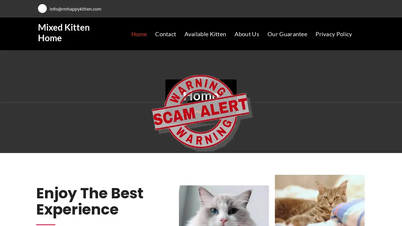 is Mixed Kitten Home legit? screenshot