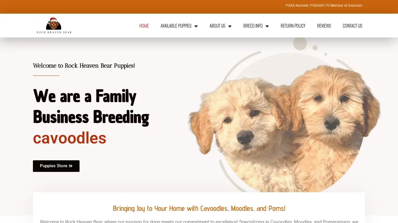 is Rock Heaven Bear Puppies – The Perfect Blend of Joy and Cuddles! legit? screenshot