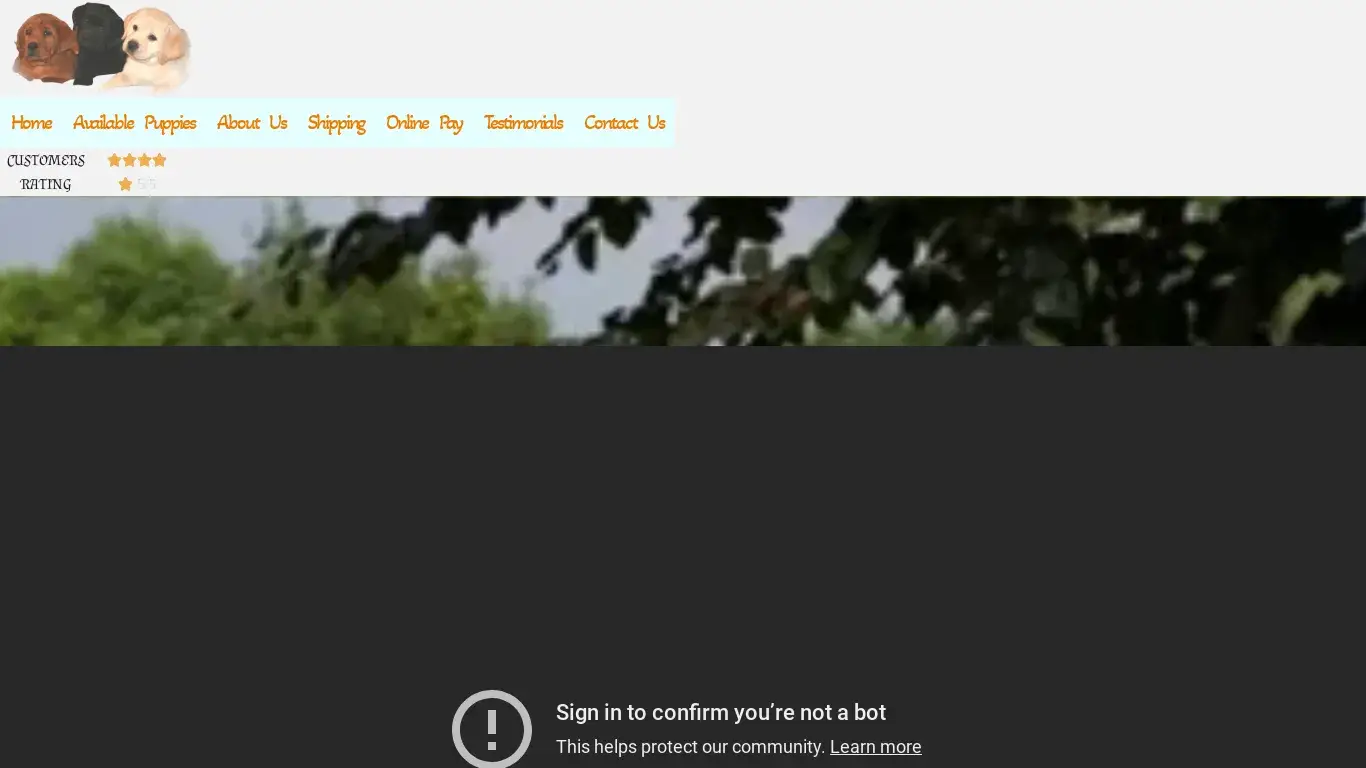 is Rodney Labrador Puppies Home – Top Quality Labrador Puppies legit? screenshot