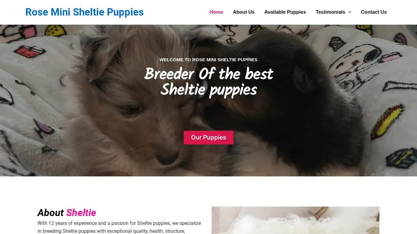 is Rose Mini Sheltie Puppies – Mini Sheltie Puppies For Sale legit? screenshot