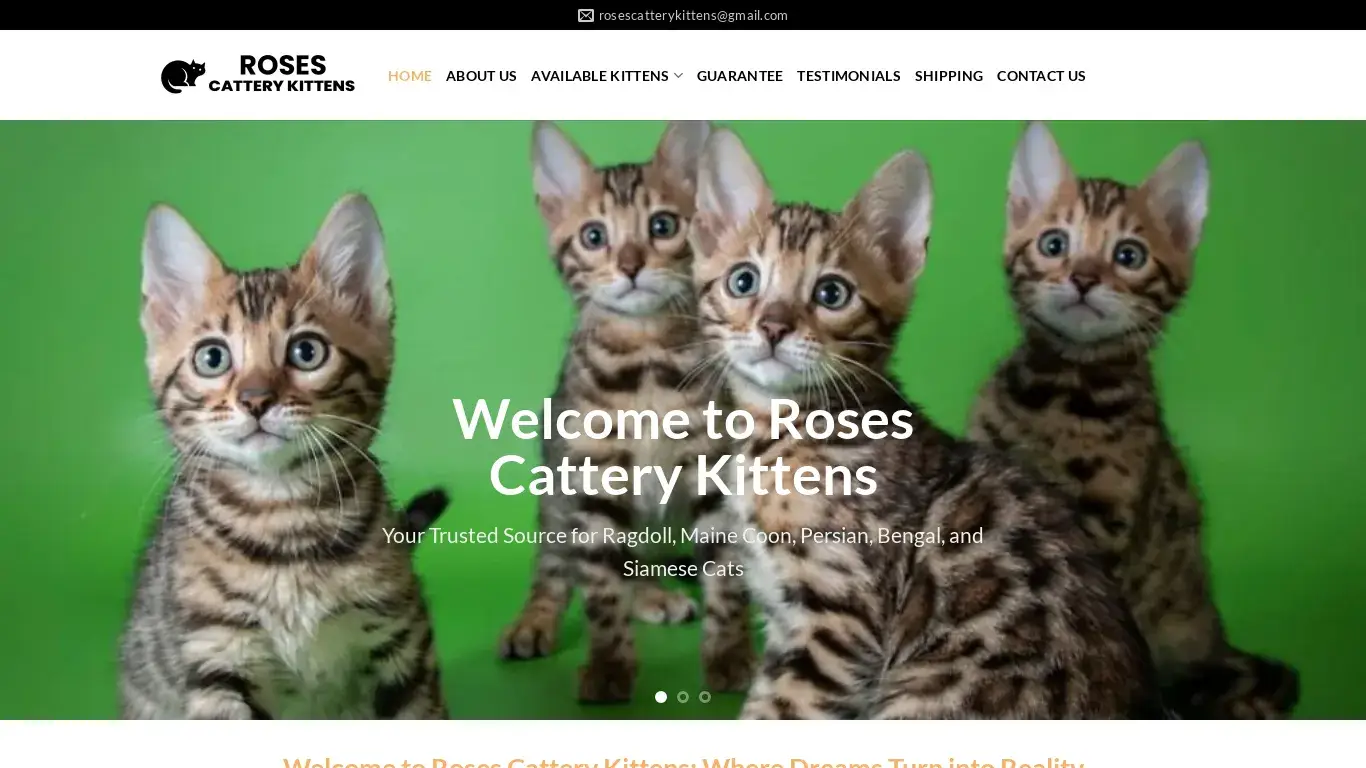 is Roses Cattery Kittens – Kittens for sale online legit? screenshot