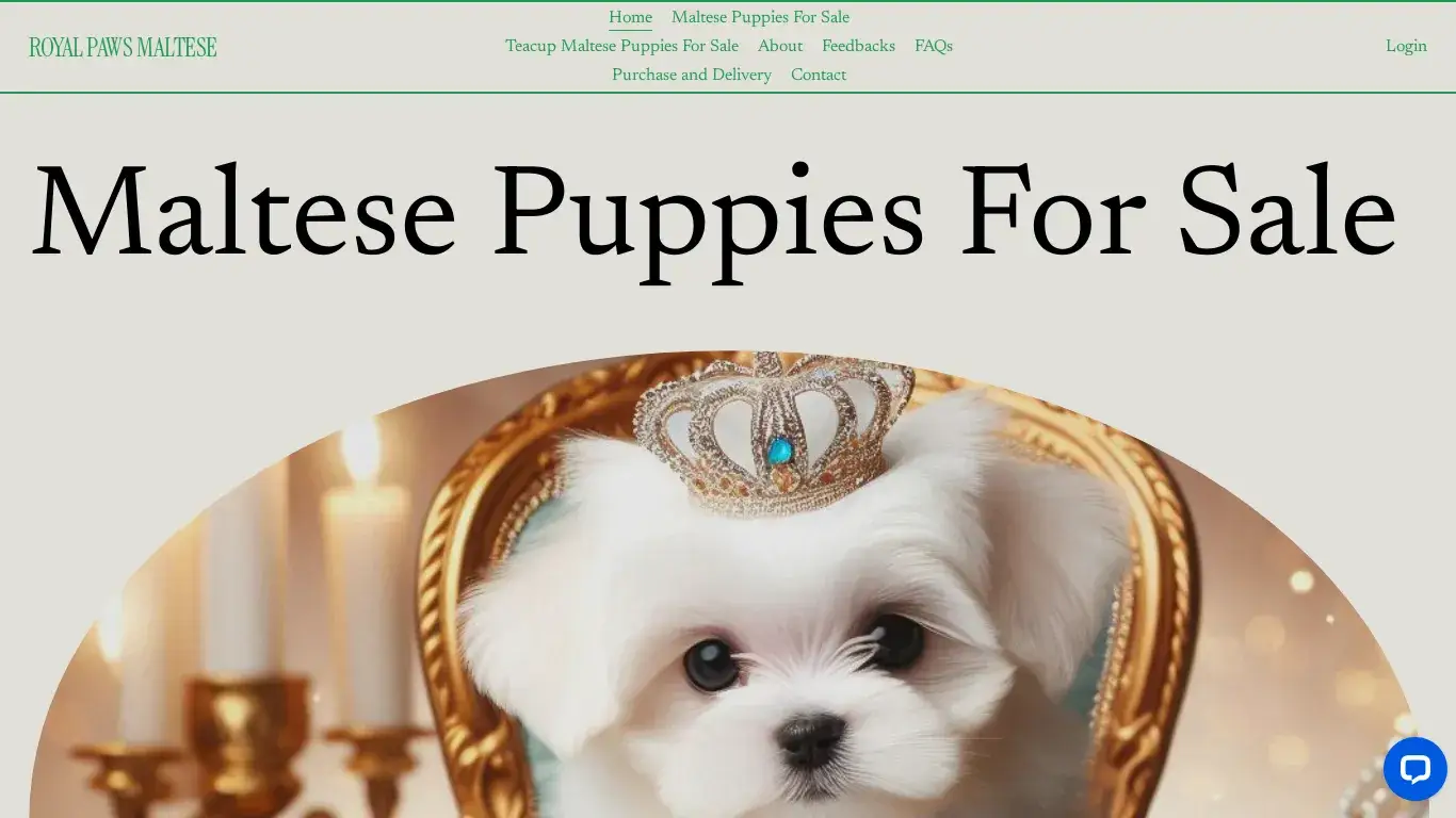 is Maltese For Sale - Teacup Maltese legit? screenshot