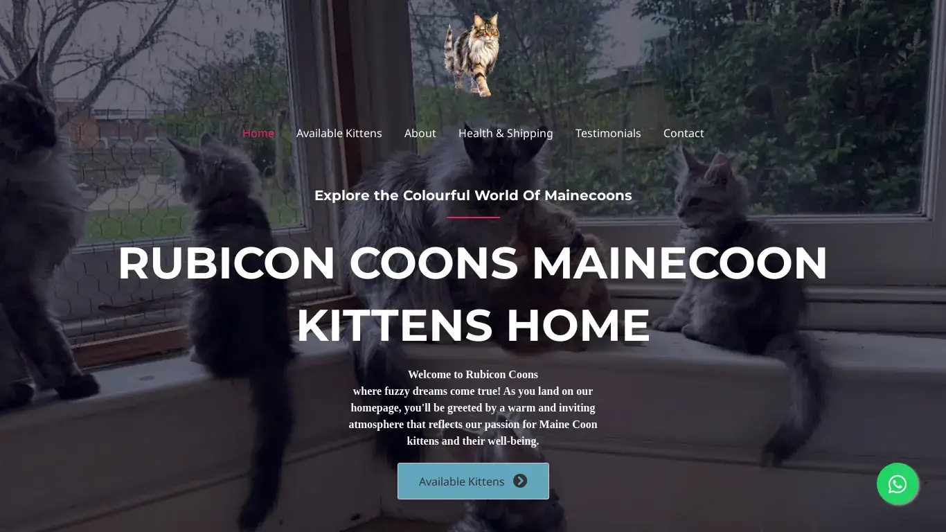 is Rubicon Coons – Cute Mainecoon Kittens For Sale legit? screenshot