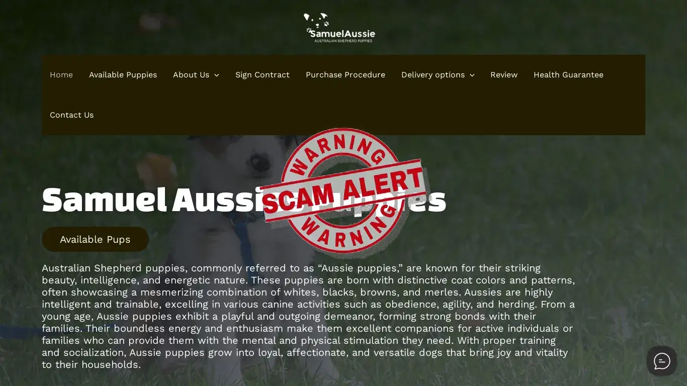 is Samuel Aussies Pups – Pups for sale legit? screenshot