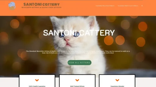 Scam Website Screenshot Santonicattery.com