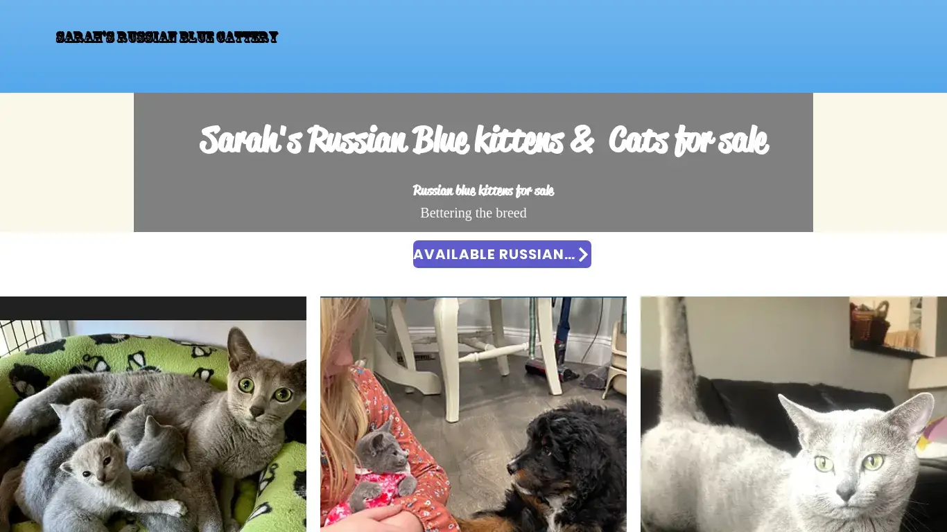 is Welcome to Sarahs Russian Blue Cattery | Russian Blue Kittens for sale legit? screenshot