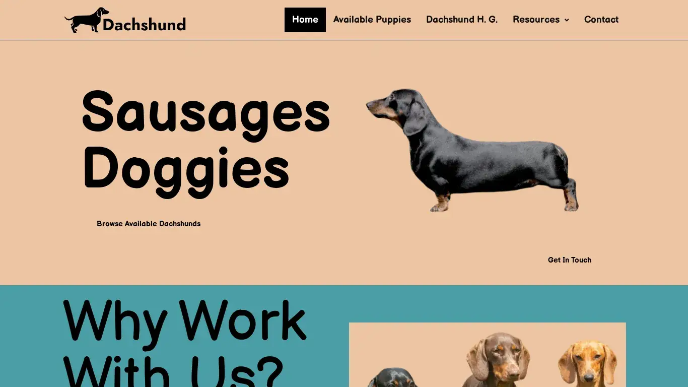 is Sausage Doggies – The Best Dachshund Puppy Site legit? screenshot