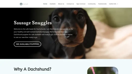 Scam Website Screenshot Sausagesnuggles.com