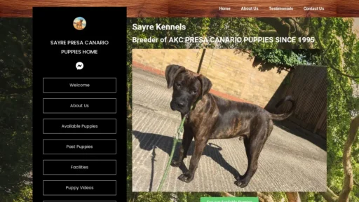 Scam Website Screenshot Sayrepresa.com