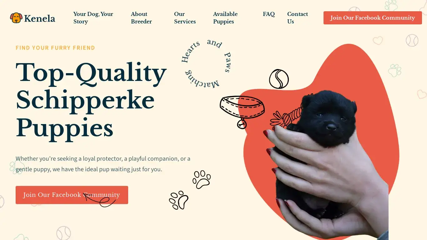 is Your Dog, Your Story - Schipperke Puppies Home legit? screenshot