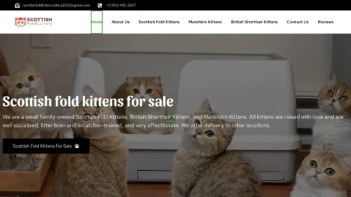 Scam Website Screenshot Scottishfoldkittenscattery.com