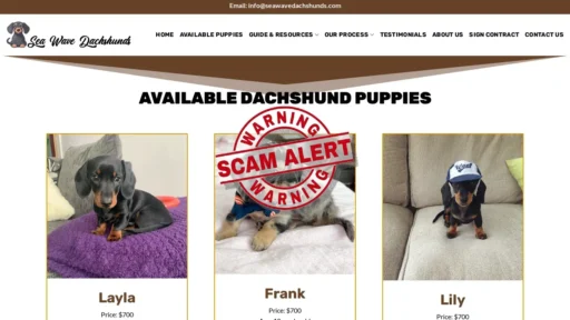 Scam Website Screenshot Seawavedachshunds.com