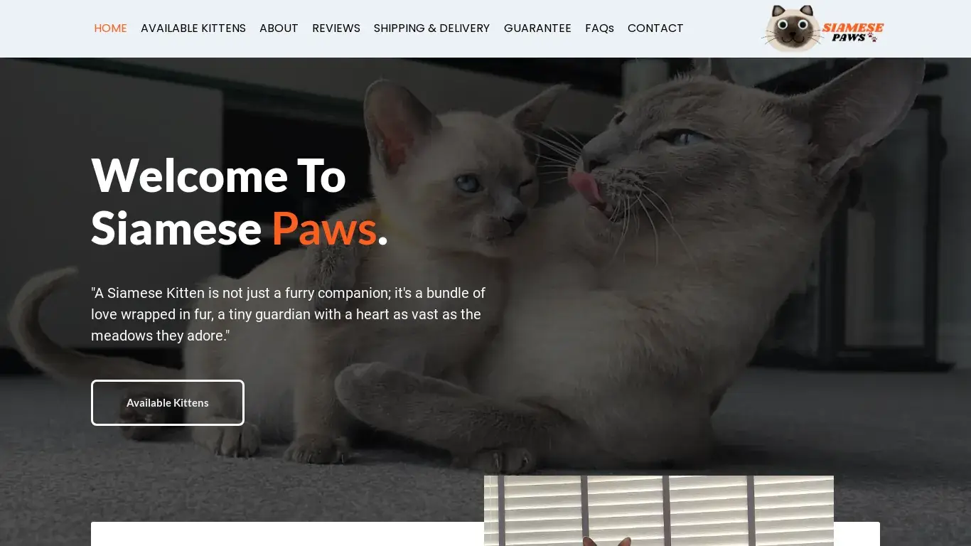 is Siamese Paws – Siamese Puppies Available For Sale legit? screenshot