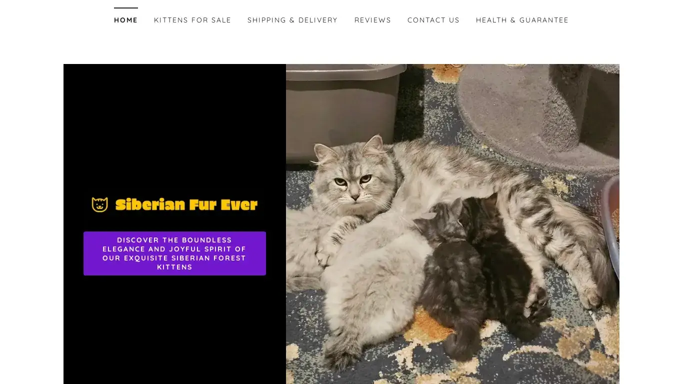is Siberian Fur Ever legit? screenshot