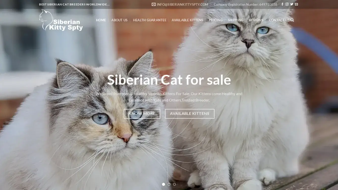 is Kittens for Sale | Buy Kittens Online | Order Kittens Online – Best Kitten Home Companion legit? screenshot
