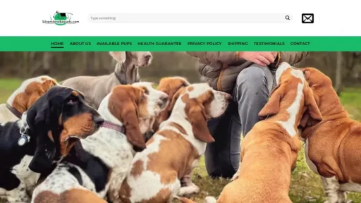 Scam Website Screenshot Silverstonebasset.com