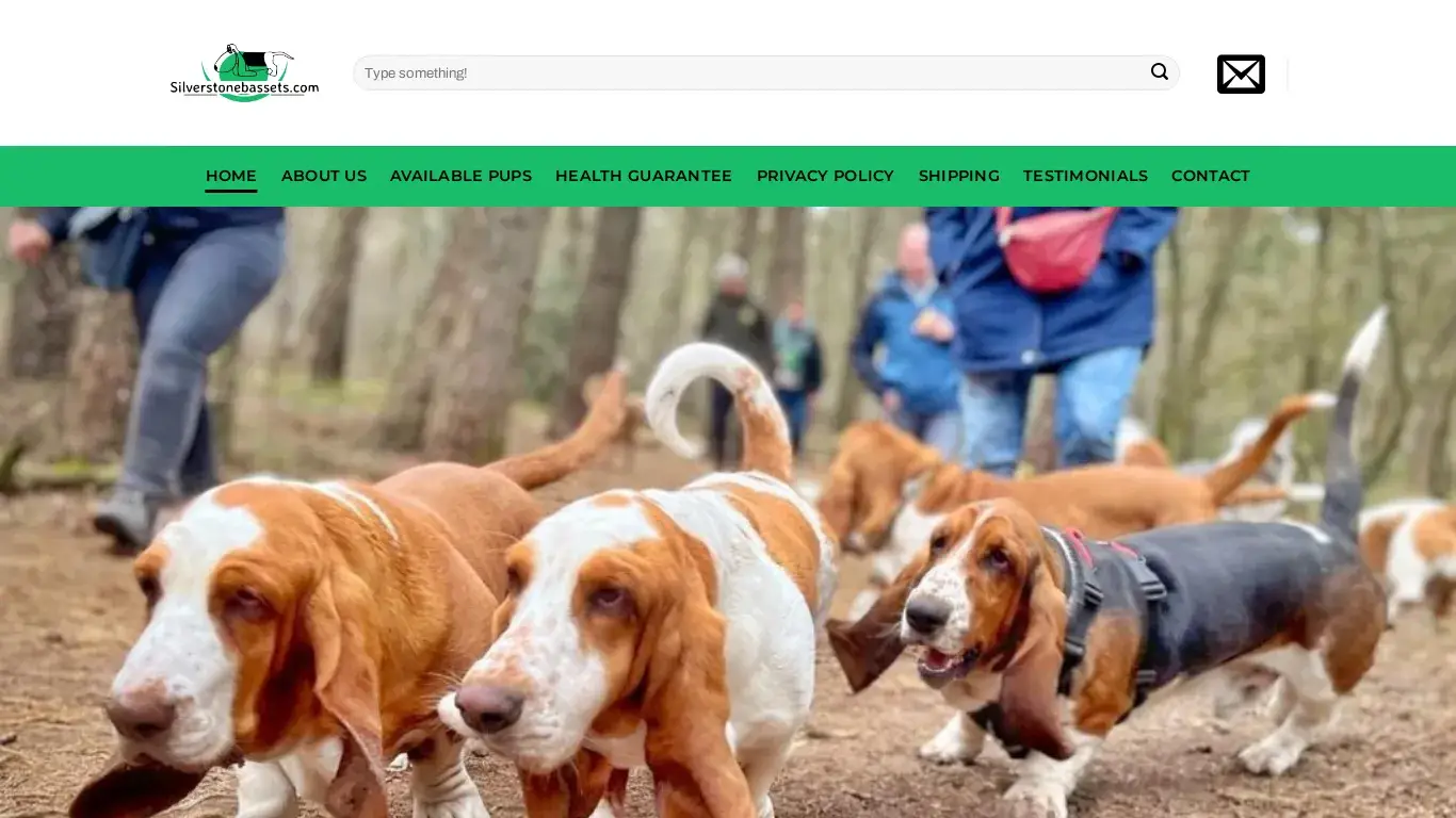 is Silverstone Bassets Puppy Home – Basset Hound |Basset Hound Puppies |Basset Hound Breeders |Bassets |Basset Hound for sale |Basset Hound Puppy for sale |Basset hound puppies for sale |Basset for sale |Basset hound dogs for sale |Basset hound puppy for sale near me |Basset hound puppies for sale near me |Basset hound dog for sale near me |Basset hound puppy for adoption |Basset hound puppies for adoption |Basset hound dog for adoption |Basset puppy for sale online |Basset hound puppies for sale online |Basset hound for sale online |Basset hound dog for sale online |Buy Basset hound puppy online |Buy basset hound puppies online |Buy basset hound dog online |Cheap basset hound puppies for sale |cheap basset hound for sale |cheap basset hound dog for sale | basset hound cost price |buy cheap basset hound puppy |Miniature basset hound puppies for sale |miniature basset hound puppies for sale near me |basset hound breeders near me |buying a basset hound |basset hound rescue |available basset hounds |basset hounds for sale |basset hounds for sale near me |cheap basset hounds for sale legit? screenshot
