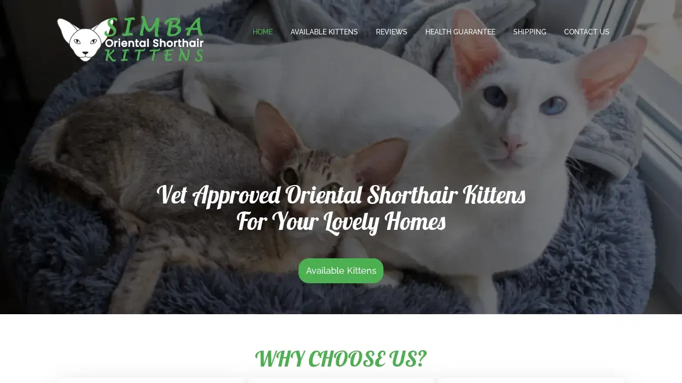 is Welcome - Simba Oriental Shorthair Kittens legit? screenshot