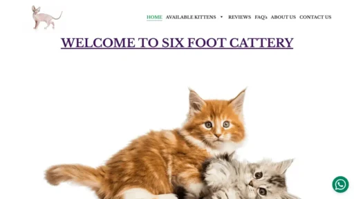 Scam Website Screenshot Sixfootcattery.co.za
