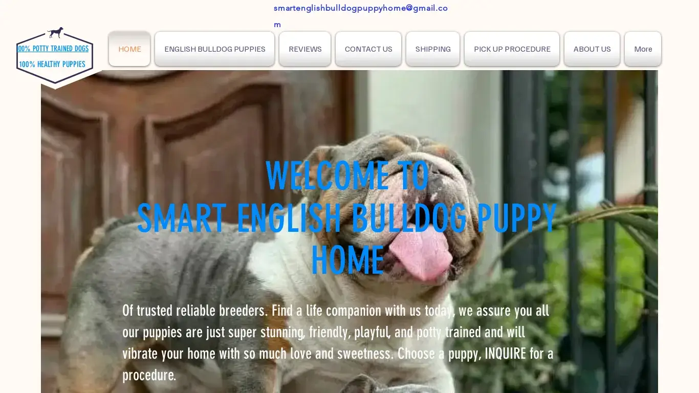 is HOME | Smart English Bulldo legit? screenshot