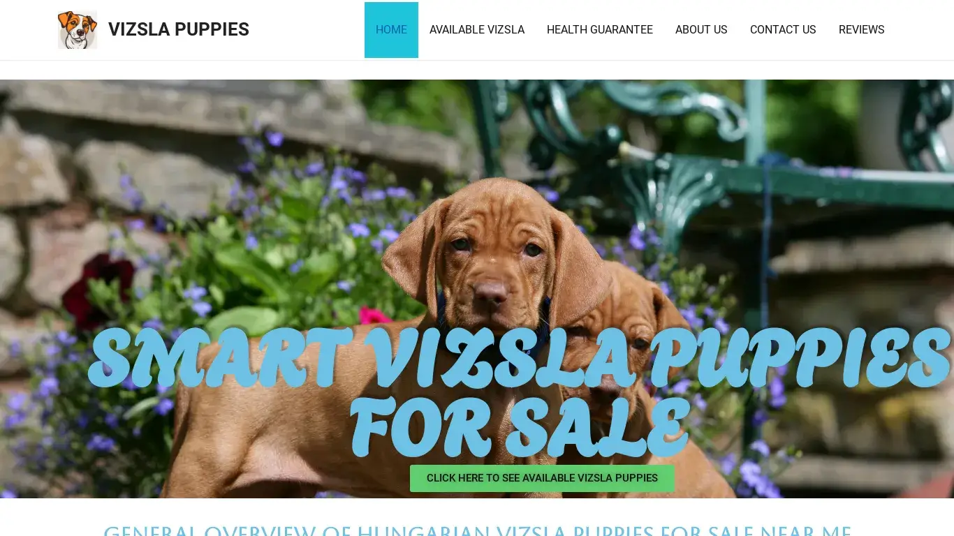 is VIZSLA PUPPIES – SMART VIZSLA PUPPIES legit? screenshot
