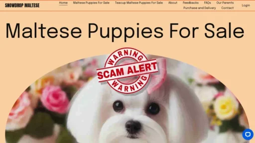 Scam Website Screenshot Snowdropmaltese.com