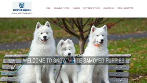 Scam Website Screenshot Snowwhitesamoyeddpuppies.com