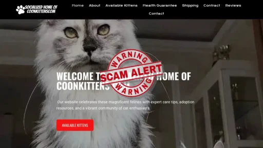 Scam Website Screenshot Socializedhomeofcoonkittenscom.com