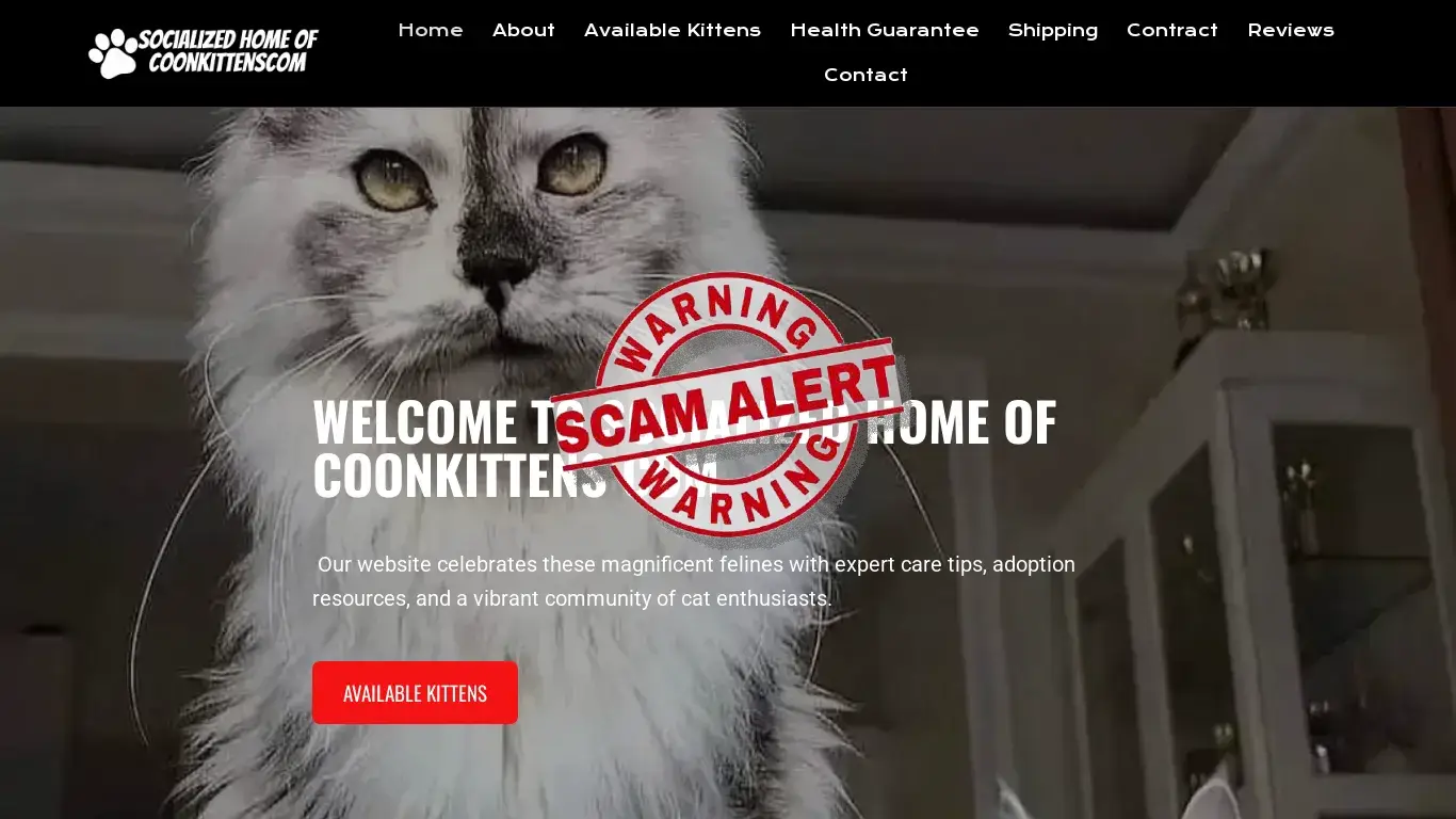 Scam Website Screenshot Socializedhomeofcoonkittenscom.com
