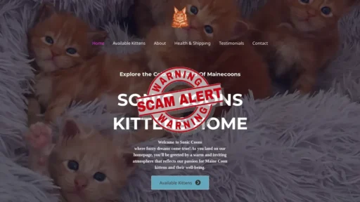 Scam Website Screenshot Soniccoons.com