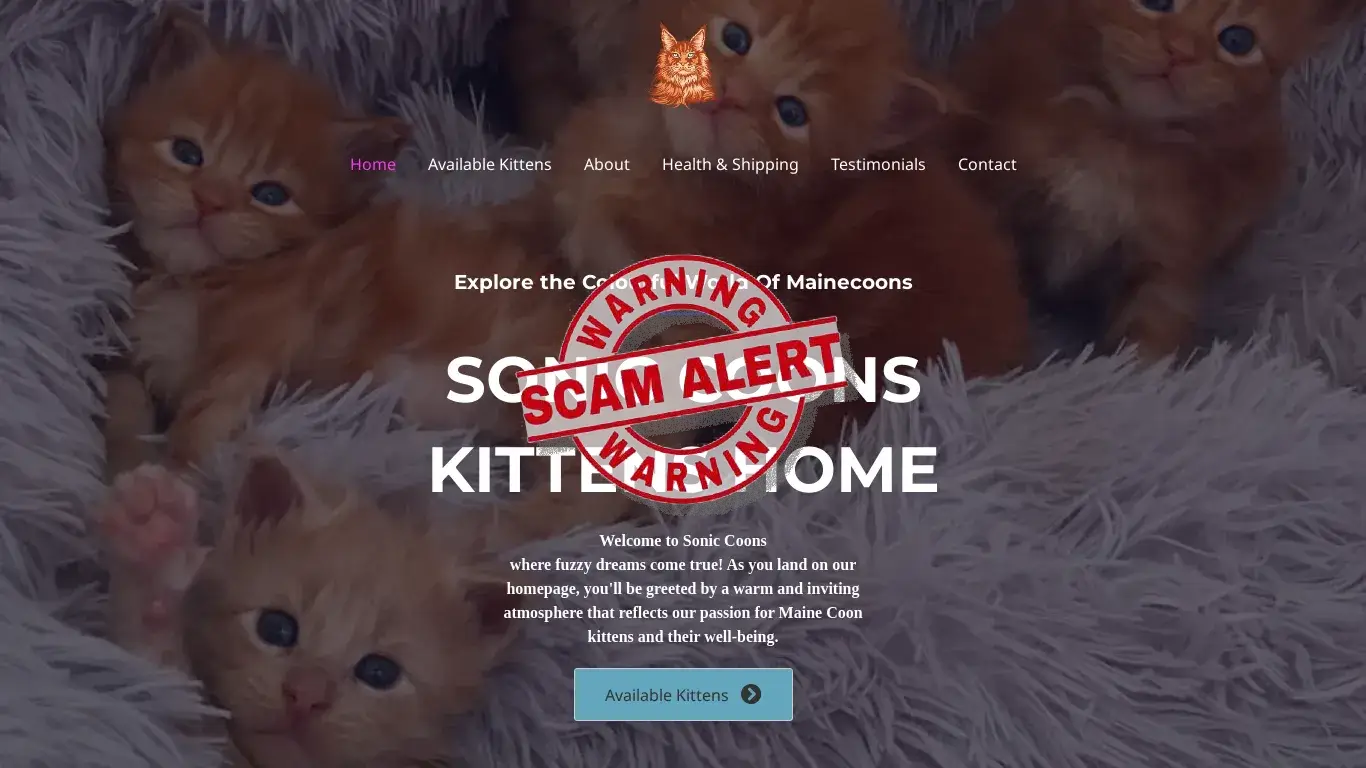 is Sonic Coons – Cute Mainecoon Kittens For Sale legit? screenshot
