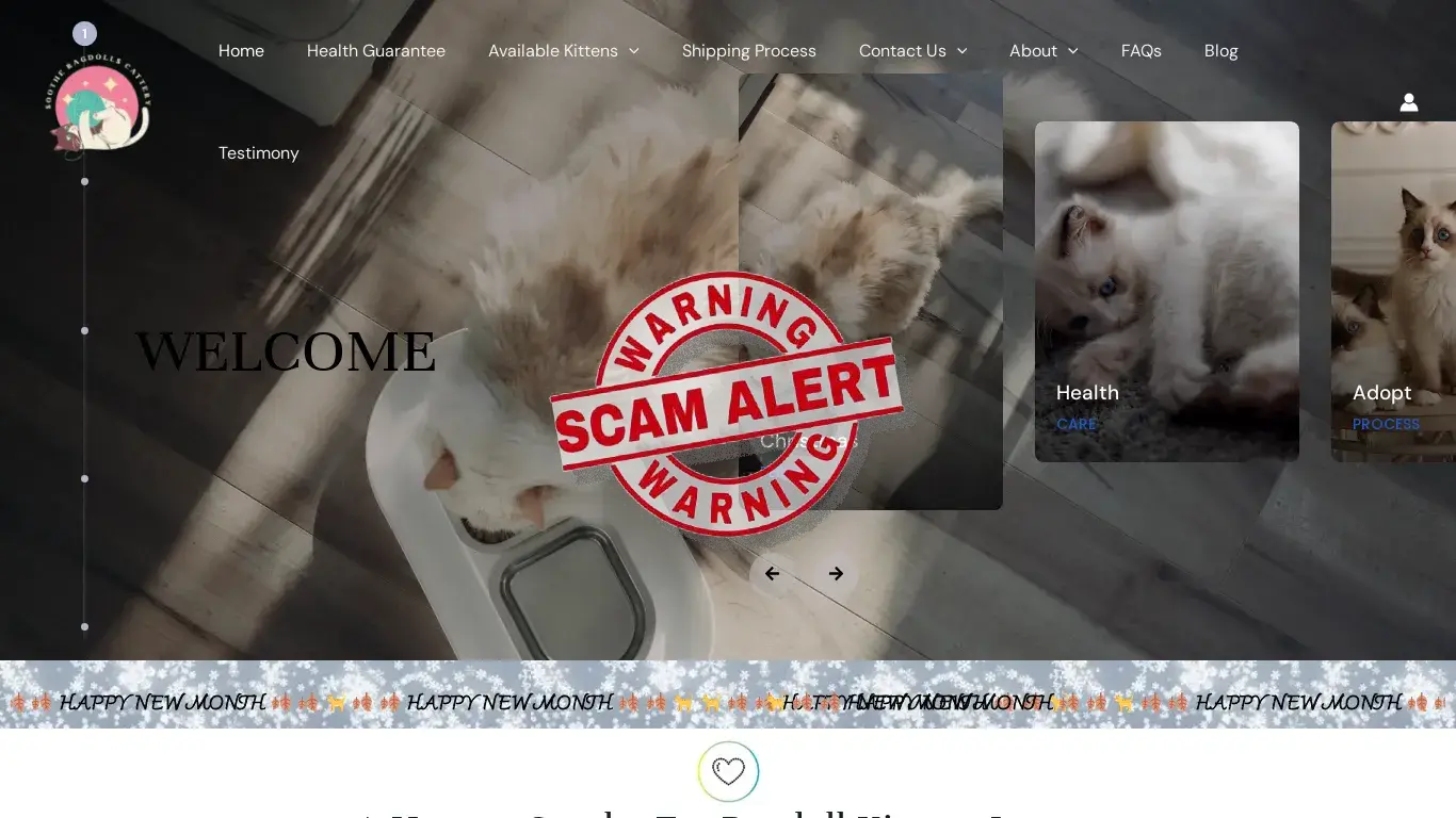 is Home - sootheragdolls.com legit? screenshot