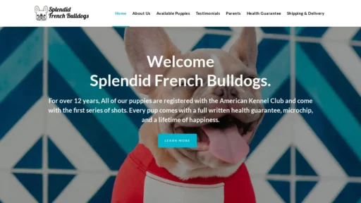 Scam Website Screenshot Splendidfrenchbulldogs.com