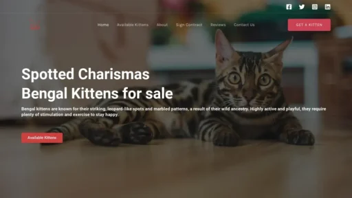 Scam Website Screenshot Spottedcharismas.com