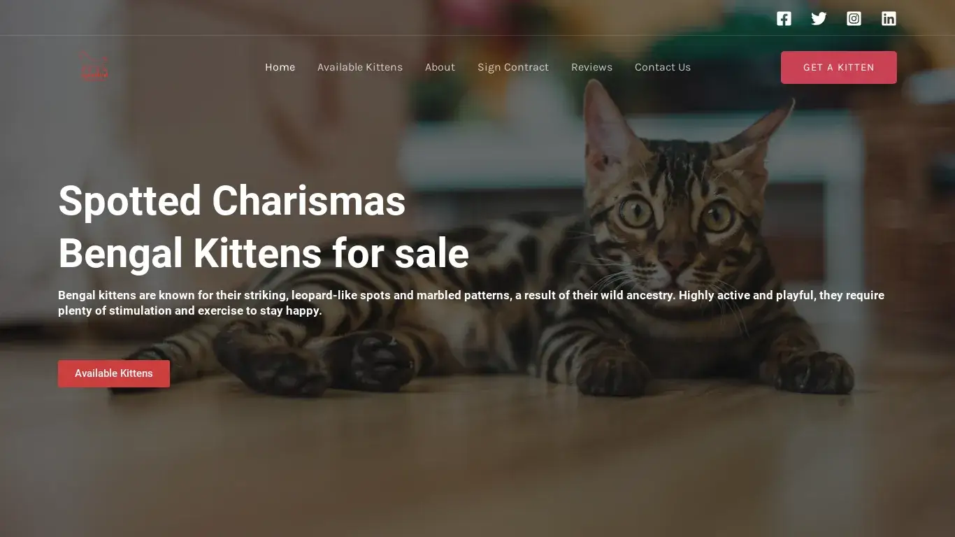 is Buy Bengal Kittens online legit? screenshot