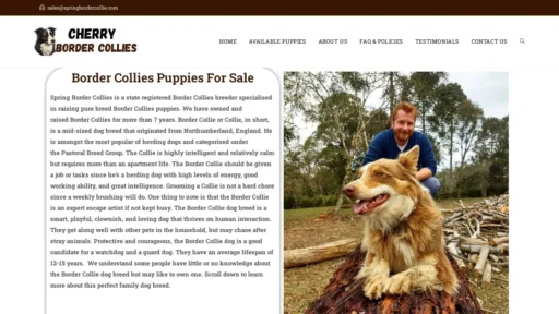 Scam Website Screenshot Springbordercollie.com