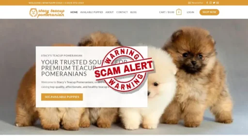 Scam Website Screenshot Stacysteacuppomeranians.com