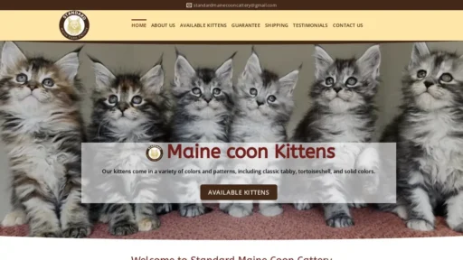 Scam Website Screenshot Standardcoons.com